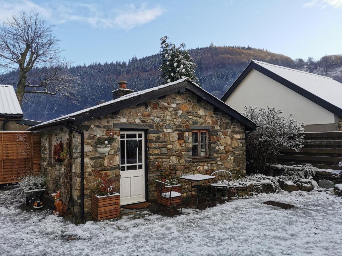 Dolweunydd Bed And Breakfast Бетс-и-код Екстериор снимка