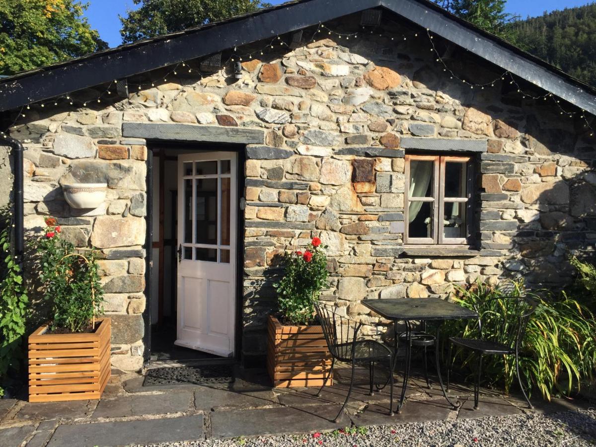 Dolweunydd Bed And Breakfast Бетс-и-код Екстериор снимка