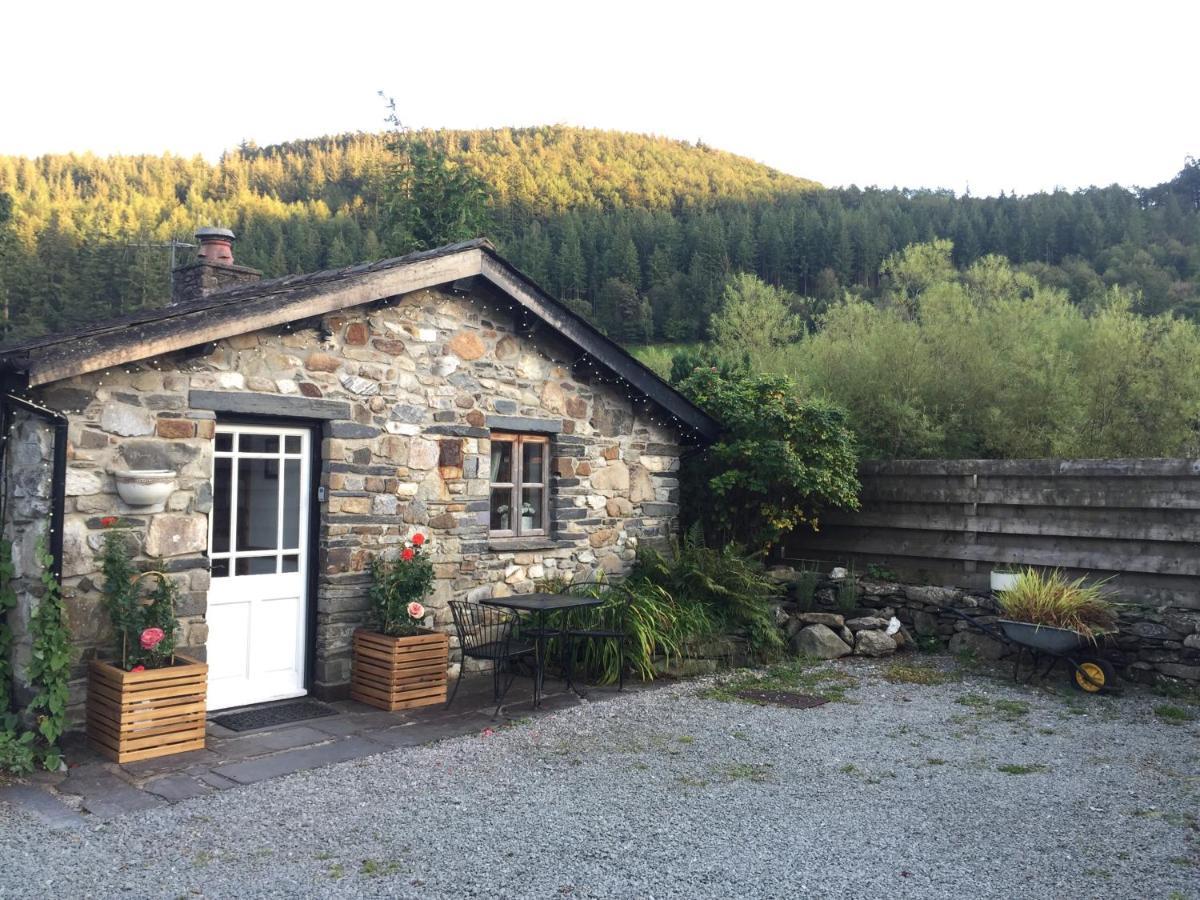 Dolweunydd Bed And Breakfast Бетс-и-код Екстериор снимка